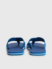 Шлёпанцы Calvin Klein модель YM0YM00658-CGD Фото