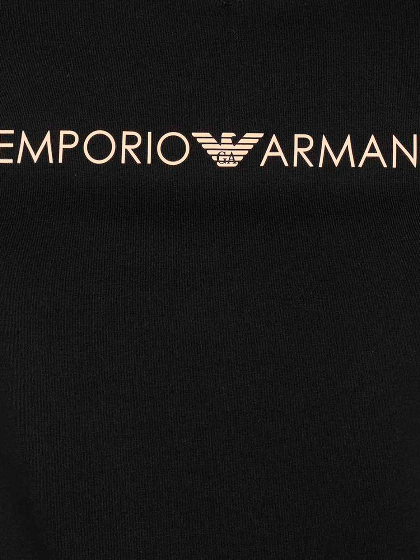 Футболки и поло Emporio Armani модель 164699-3R227-00020 Фото