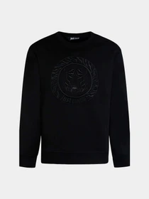 Худи и свитшоты Just Cavalli модель 74OBII02-CF400-899 Фото