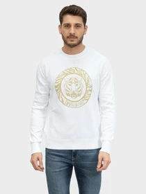 Худи и свитшоты Just Cavalli модель 74OBFM06-CM07A-K41 Фото
