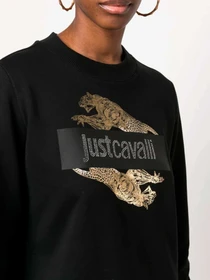 Худи и свитшоты Just Cavalli модель 74PBIF07-CJ200-G89 Фото