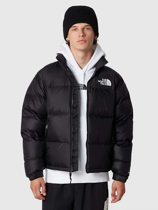 Куртки и дубленки The North Face модель NF0A3C8DLE41 Фото