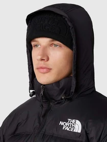 Куртки и дубленки The North Face модель NF0A3C8DLE41 Фото