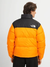 Куртки и дубленки The North Face модель NF0A3C8D78M1 Фото