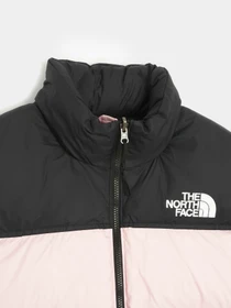 Куртки и дубленки The North Face модель NF0A3XEO6R01 Фото
