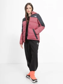 Куртки и дубленки The North Face модель NF0A55H486H1 Фото