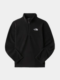 Худи и свитшоты The North Face модель NF0A7X3QJK31 Фото