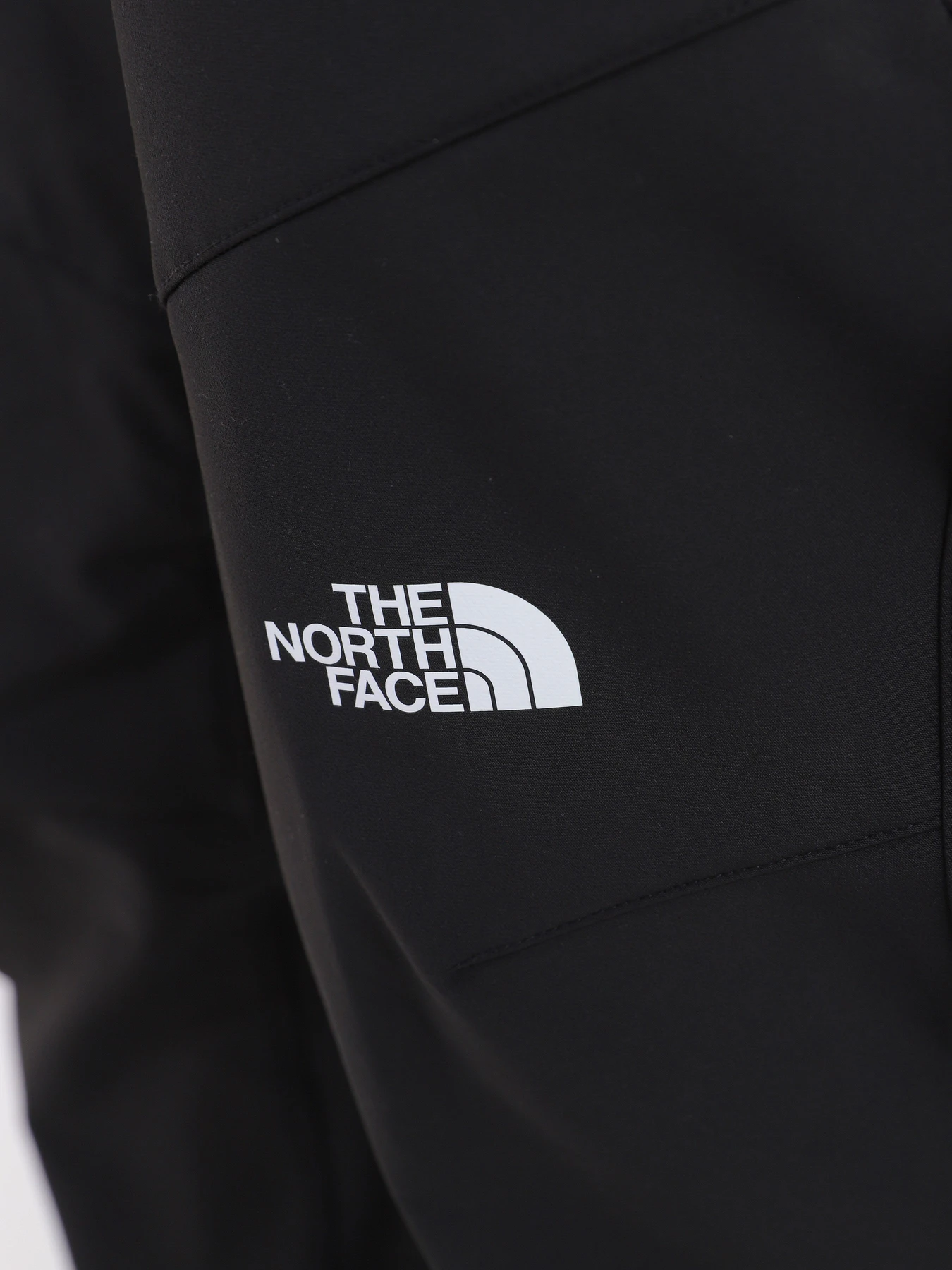 Брюки The North Face модель NF0A7X6DJK31 Брюки The North Face модель NF0A7X6DJK31 Фото