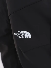 Брюки The North Face модель NF0A7X6DJK31 Фото