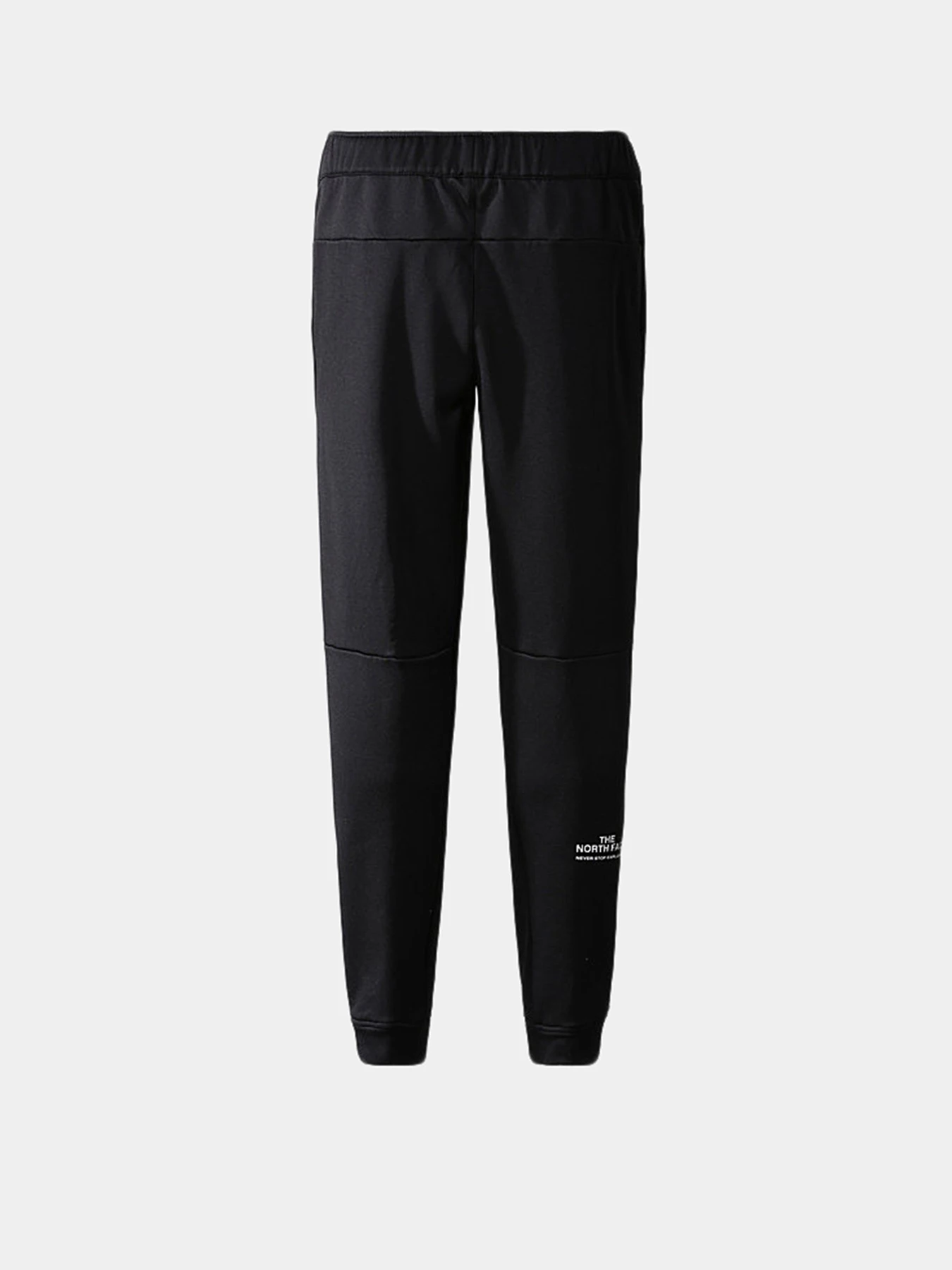 Брюки The North Face модель NF0A7ZANJK31 Фото