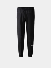 Брюки The North Face модель NF0A7ZANJK31 Фото