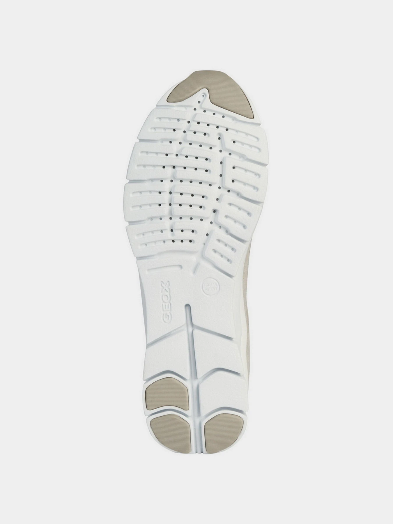 Кроссовки Geox модель D02F2B-00022-C1010 Кроссовки Geox модель D02F2B-00022-C1010 Фото