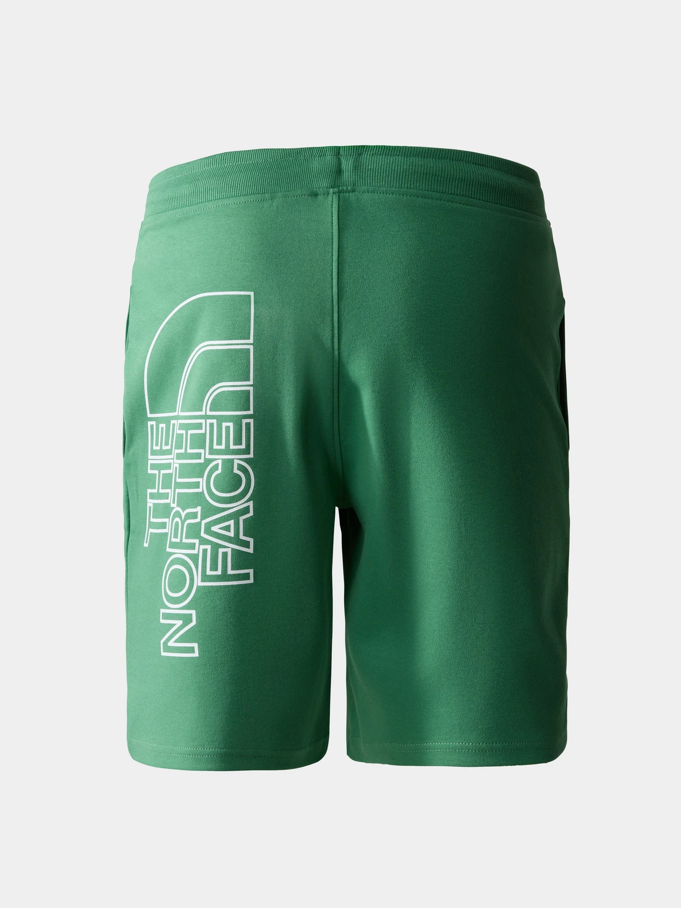 Шорты The North Face модель NF0A3S4FN111 Шорты The North Face модель NF0A3S4FN111 Фото