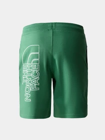 Шорты The North Face модель NF0A3S4FN111 Фото