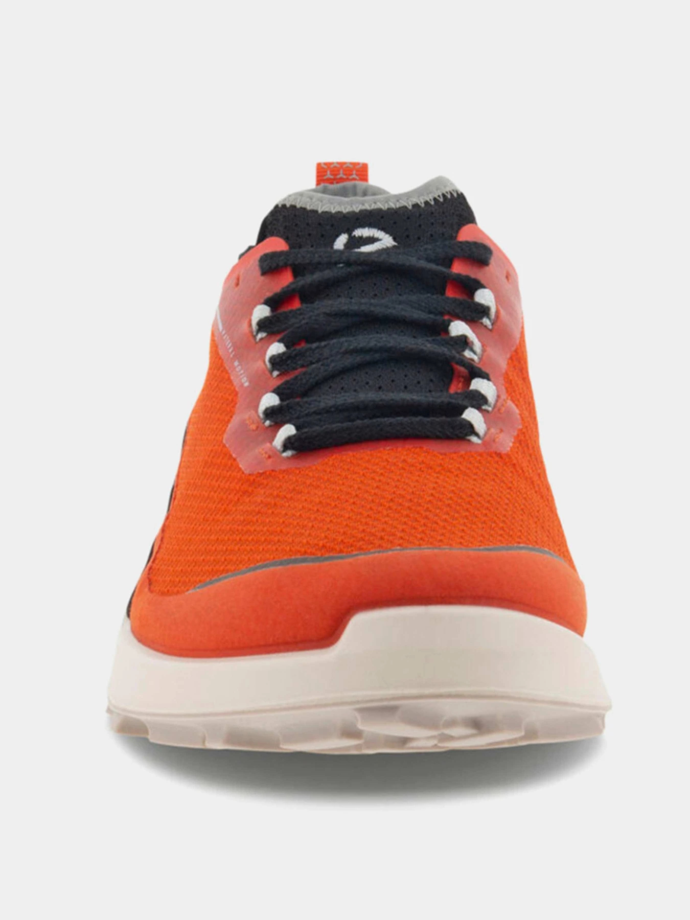 Кроссовки ECCO модель 82280460596 Кроссовки ECCO модель 82280460596 Фото
