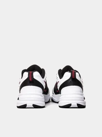 Кроссовки NIKE модель 415445-101 Фото