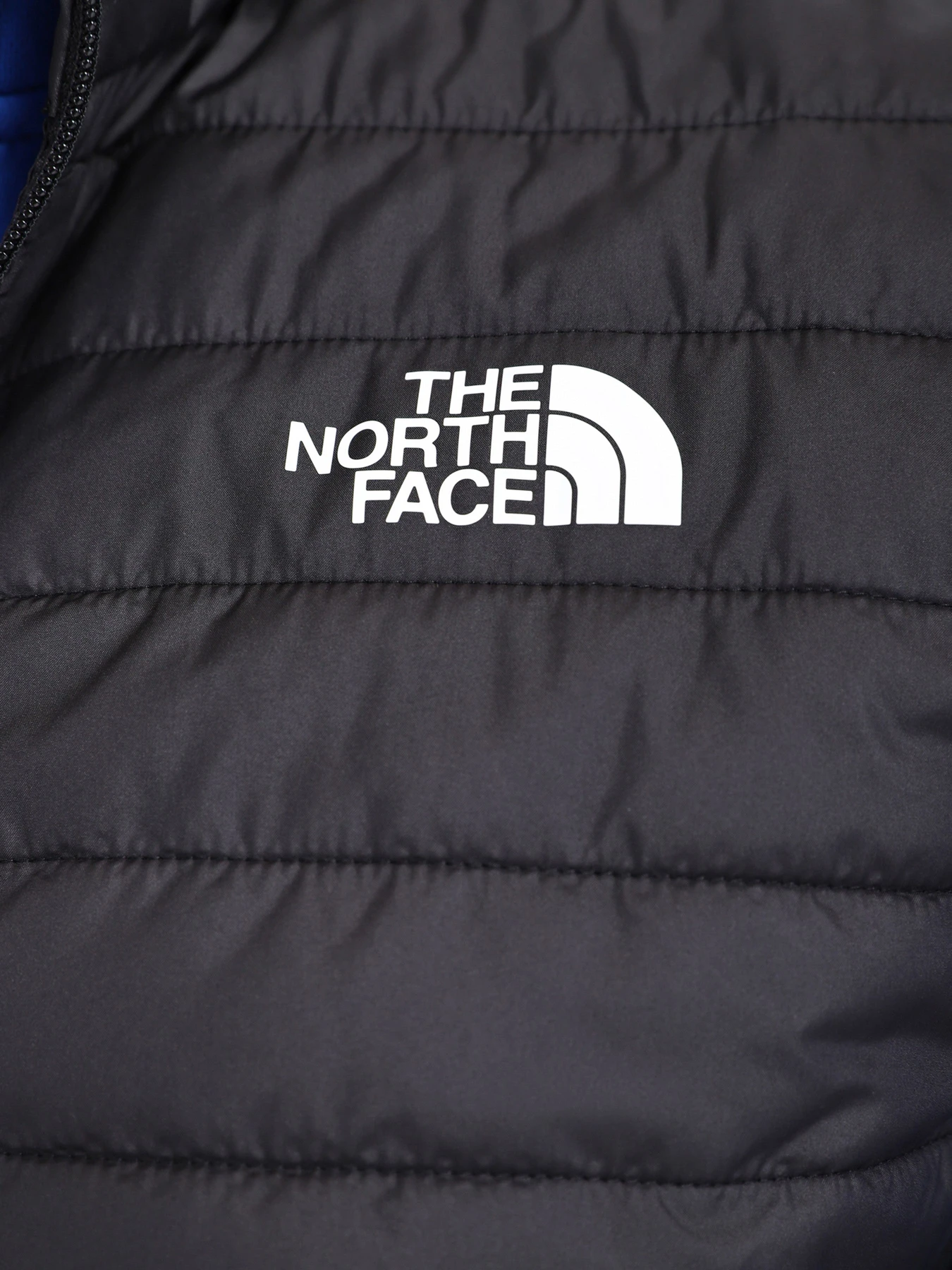 Куртки и дубленки The North Face модель NF0A7UJJJK31 Куртки и дубленки The North Face модель NF0A7UJJJK31 Фото