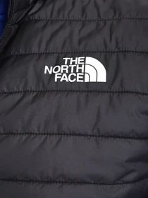 Куртки и дубленки The North Face модель NF0A7UJJJK31 Фото