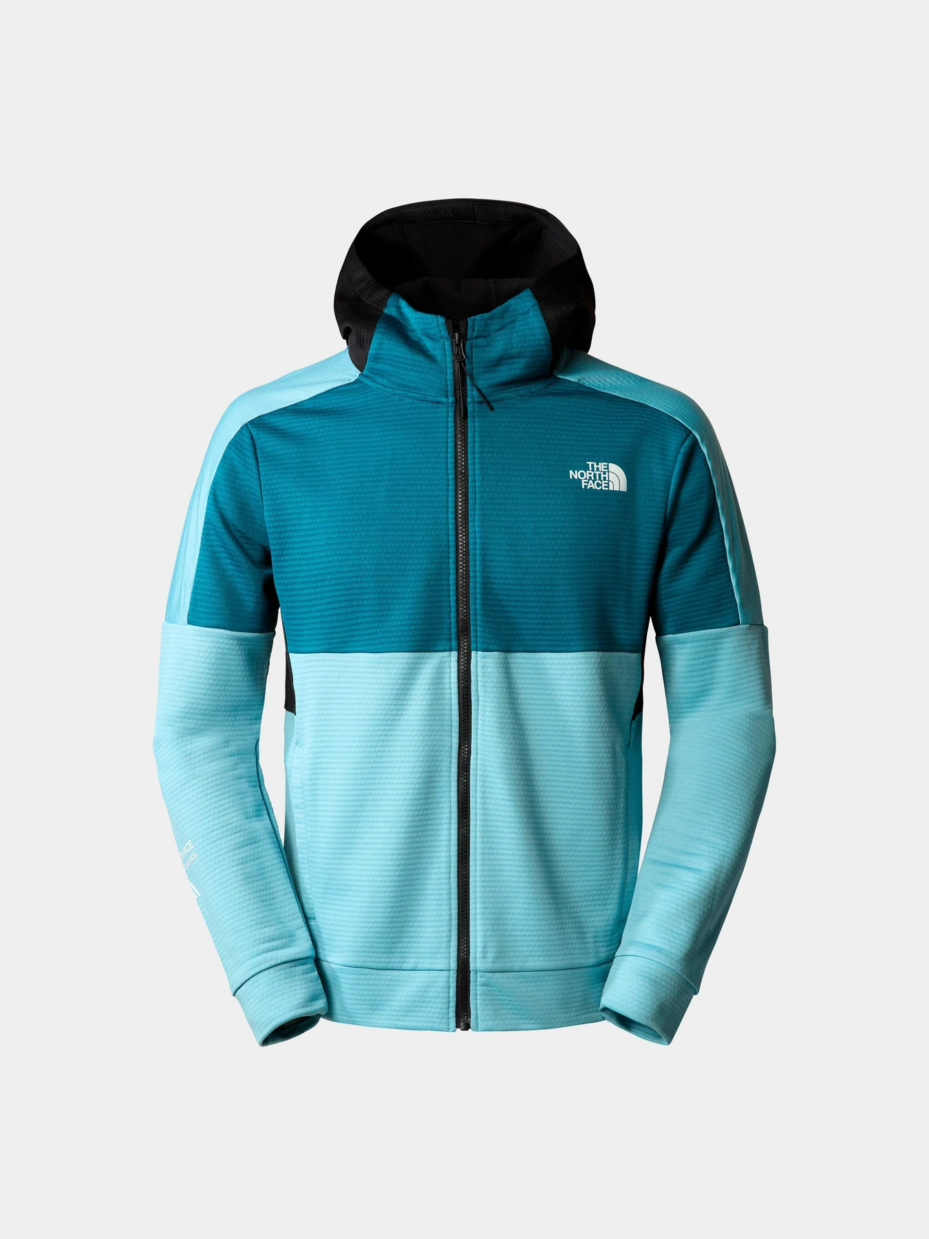 Худи и свитшоты The North Face модель NF0A823PIJ61 Худи и свитшоты The North Face модель NF0A823PIJ61 Фото