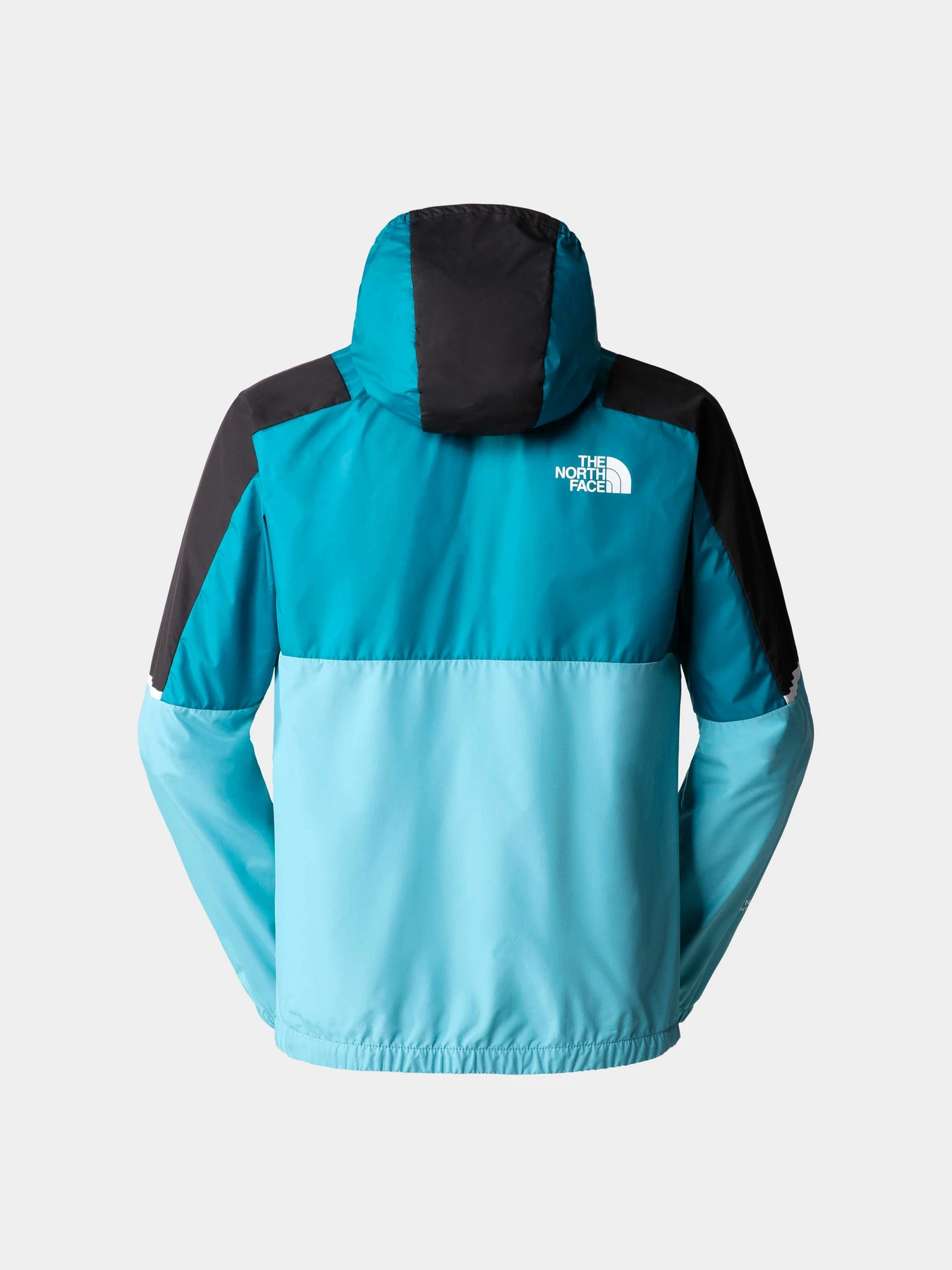 Куртки и дубленки The North Face модель NF0A823XIJ61 Фото