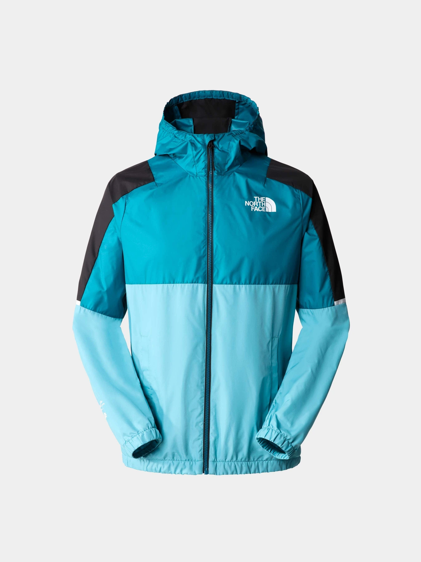 Куртки и дубленки The North Face модель NF0A823XIJ61 Фото