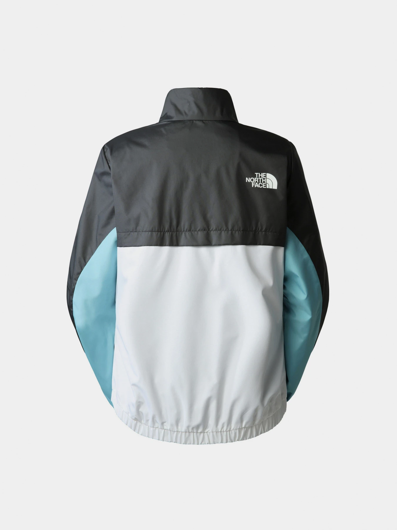 Куртки и дубленки The North Face модель NF0A825DIKF1 Куртки и дубленки The North Face модель NF0A825DIKF1 Фото