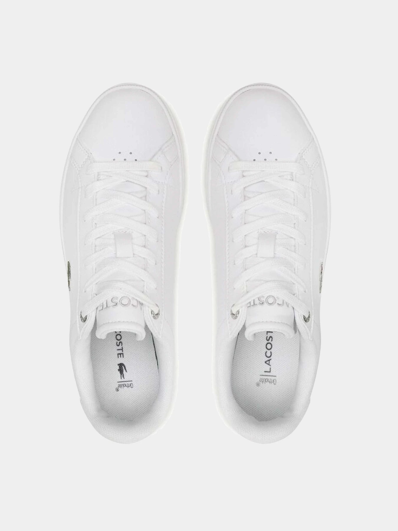 Кеды Lacoste модель 745SFA008521G Кеды Lacoste модель 745SFA008521G Фото