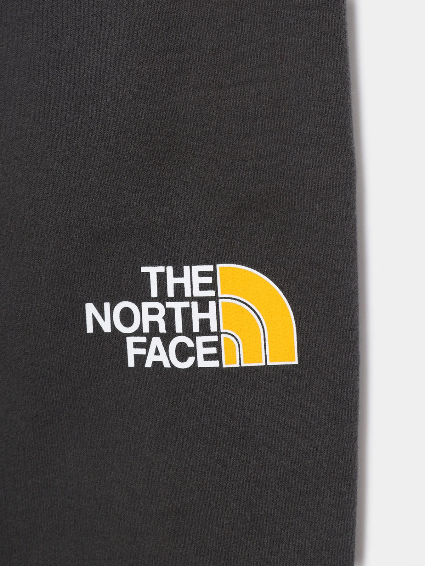 Брюки The North Face модель NF0A492WS951 Брюки The North Face модель NF0A492WS951 Фото