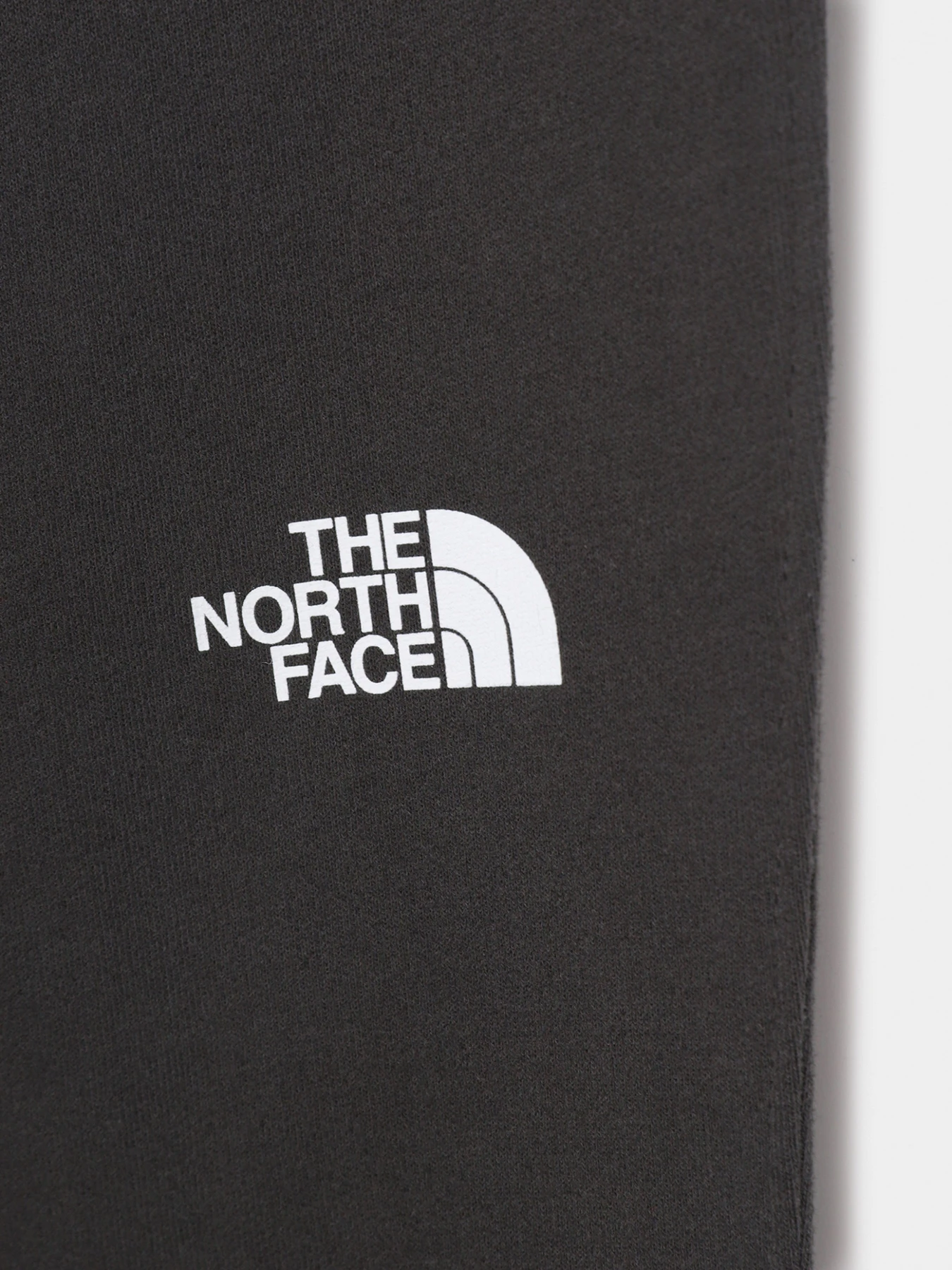 Брюки The North Face модель NF0A492WS951 Брюки The North Face модель NF0A492WS951 Фото