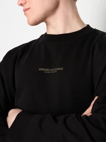 Худи и свитшоты Armani Exchange модель 6RZMLG-ZJ4XZ-22CF Фото