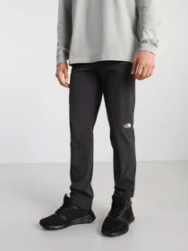 Брюки The North Face модель NF0A3VF79A11 Фото