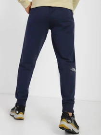 Брюки The North Face модель NF0A4SVQ8K21 Фото