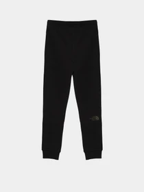 Брюки The North Face модель NF0A7X58JK31 Фото