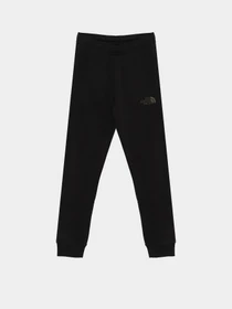 Брюки The North Face модель NF0A7X58JK31 Фото