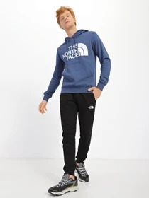 Худи и свитшоты The North Face модель NF0A3XYDHDC1 Фото