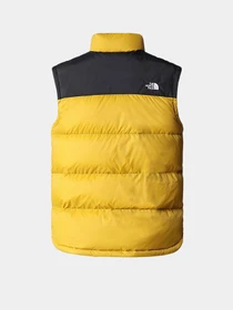 Куртки и дубленки The North Face модель NF0A4M9K81U1 Фото