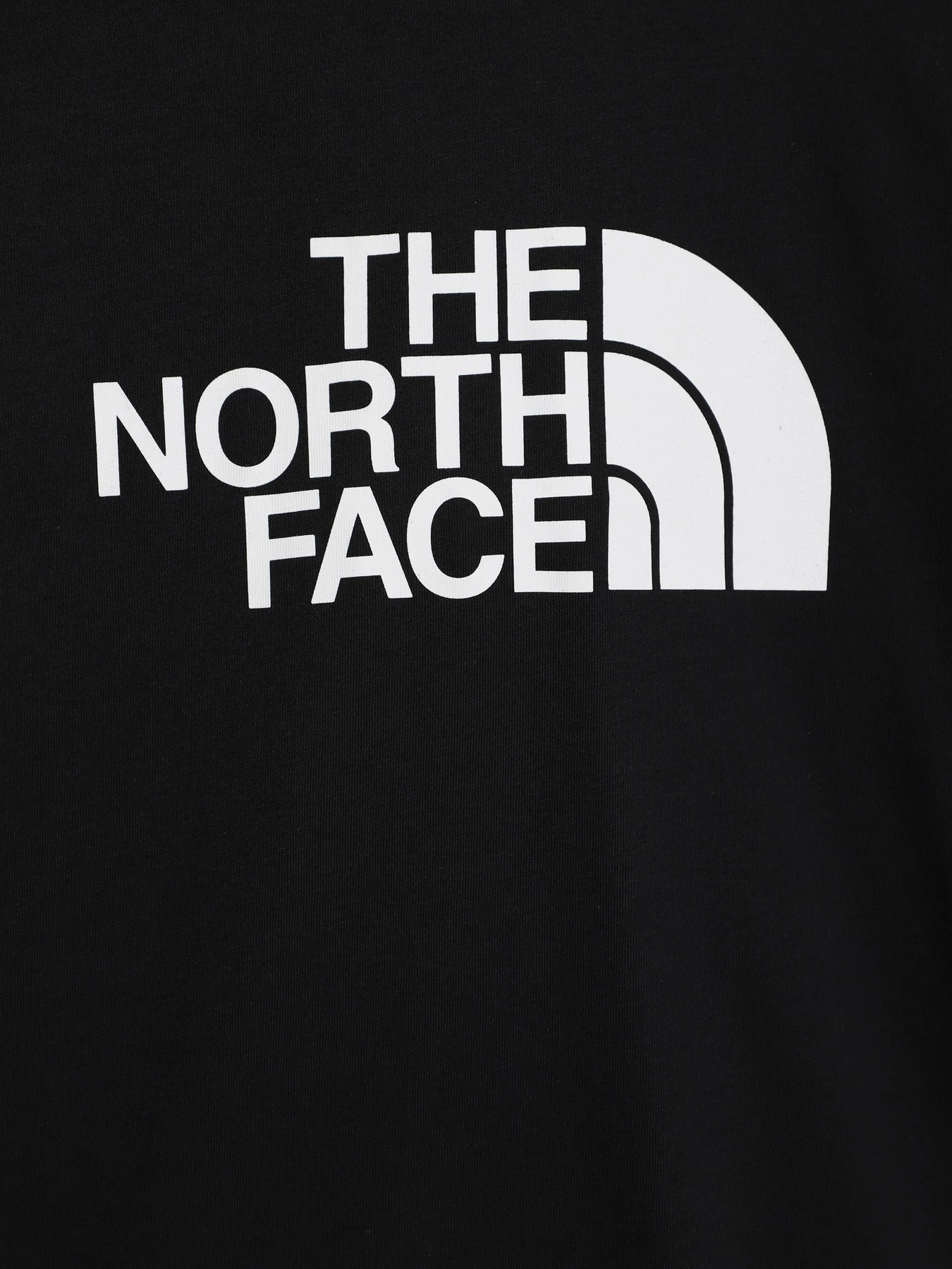 Худи и свитшоты The North Face модель NF0A7X5DJK31 Фото