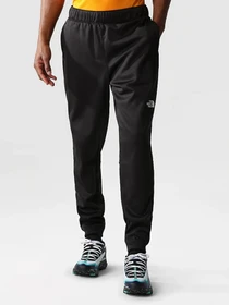 Брюки The North Face модель NF0A7Z9PJK31 Фото