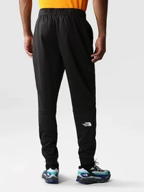 Брюки The North Face модель NF0A7Z9PJK31 Фото
