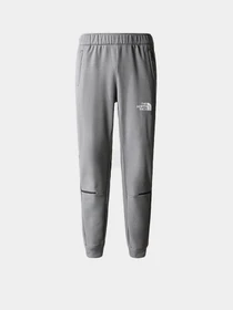 Брюки The North Face модель NF0A7ZANDYY1 Фото