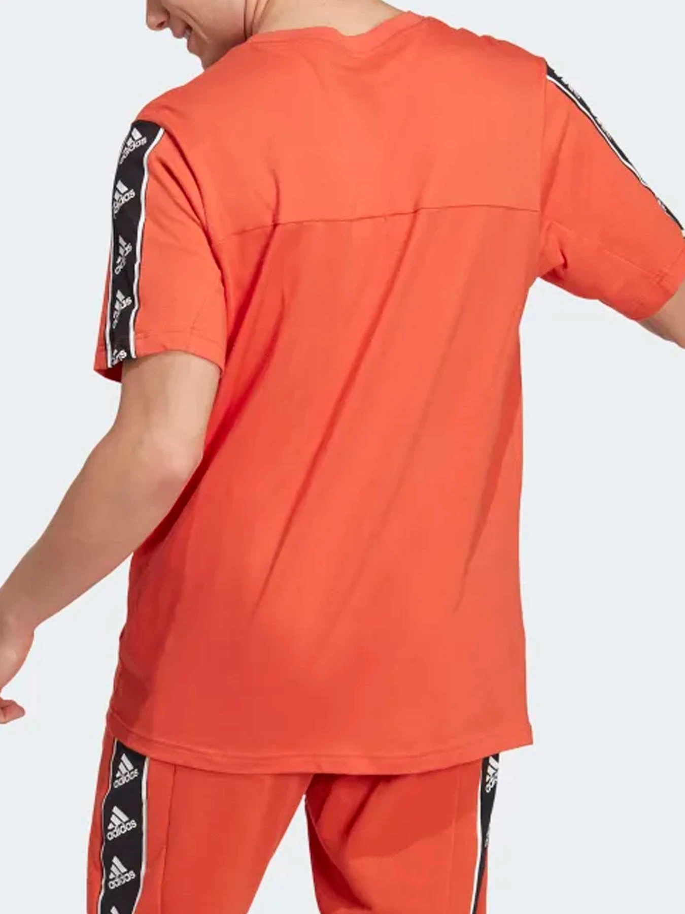 Футболки и поло Adidas модель IC6808 Футболки и поло Adidas модель IC6808 Фото