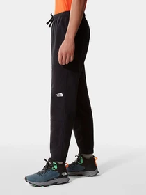 Брюки The North Face модель NF0A48KSJK31 Фото