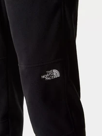 Брюки The North Face модель NF0A48KSJK31 Фото