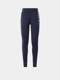 Брюки The North Face модель NF0A55GSH2G1 Фото