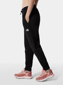 Брюки The North Face модель NF0A5ID4JK31 Фото