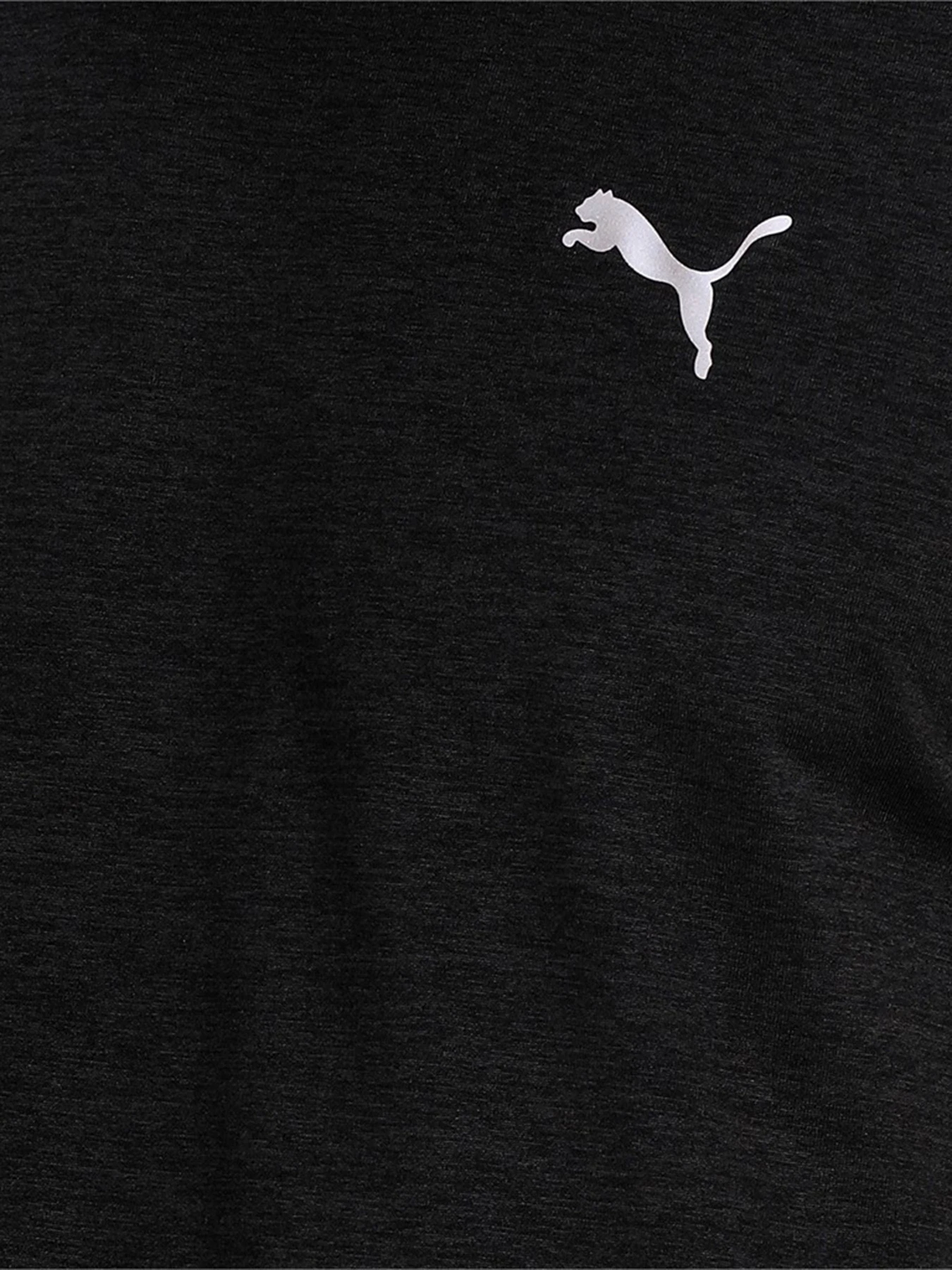 Футболки и поло PUMA модель 52020901 Футболки и поло PUMA модель 52020901 Фото
