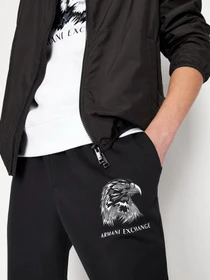 Брюки Armani Exchange модель 3LZPAQ-ZJ5UZ-1200 Фото