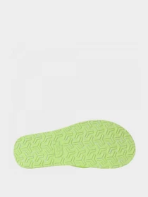 Шлёпанцы The North Face модель NF0A47AB66G1 Фото