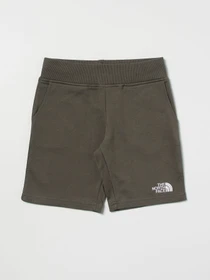 Шорты The North Face модель NF0A7R1I0C51 Фото