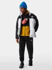 Брюки The North Face модель NF0A3BPOJK31 Фото